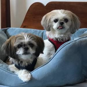 Meet your Posher, Vanessa